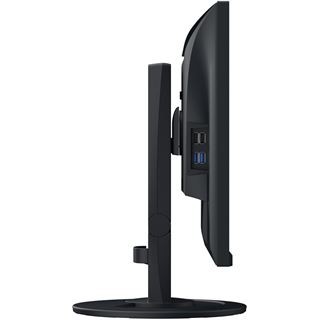 23,8" (60,47cm) EIZO FlexScan EV2400R schwarz 1920x1080