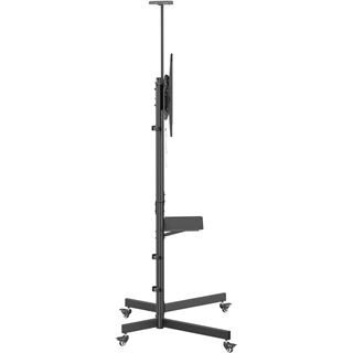 Equip Bodenstandhalter 37"-70"/1TFT 70kg Economy sw