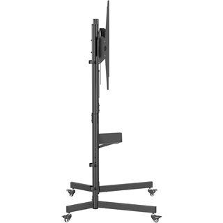 Equip Bodenstandhalter 55"-100"/1TFT 70kg Economy sw