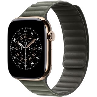 APPLE 46MM SAGE GRAY MAGNETIC LINK M/L