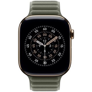 APPLE 46MM SAGE GRAY MAGNETIC LINK M/L