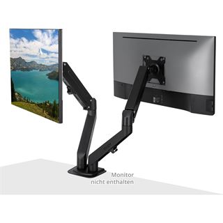 Lindy Dual Mount Desktop Gasfederarm - Schwarz