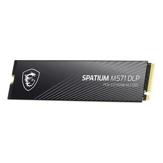 4TB MSI Spatium M571 DLP M.2 2280 PCIe 5.0 x4 3D-NAND TLC
