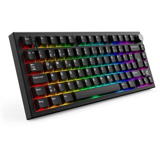 Sharkoon SKILLER SGK55W (schwarz, DE-Layout, Linear)
