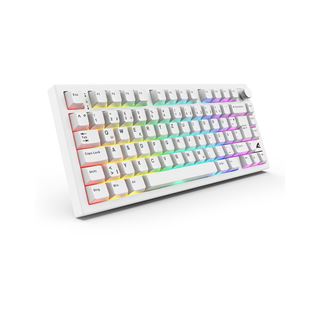 Sharkoon SKILLER SGK55W (wei&szlig;, DE-Layout, Linear)