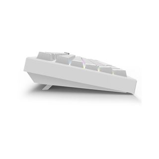 Sharkoon SKILLER SGK55W (wei&szlig;, DE-Layout, Linear)