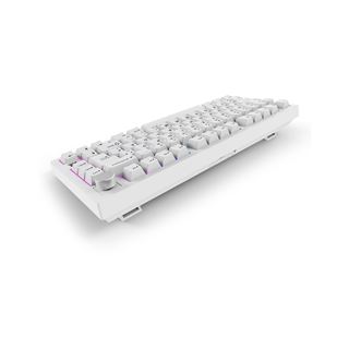 Sharkoon SKILLER SGK55W (wei&szlig;, DE-Layout, Linear)