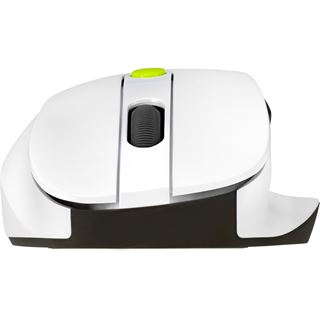 Asus MD105 Maus wireless 2400dpi Volt Green