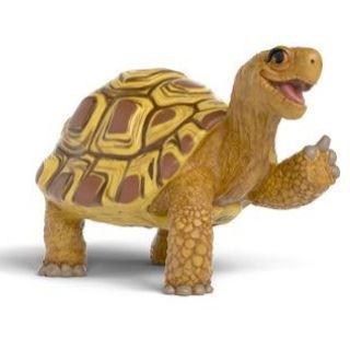 Schleich Die Schule der magischen Tiere - Henrietta die