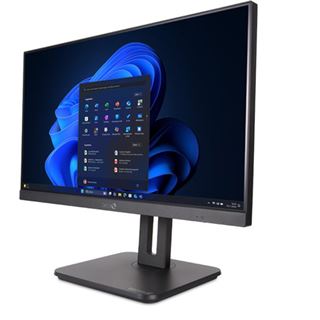 23.8" (60,45cm) Terra ALL-IN-ONE-PC 2420HA V2 16GB DDR5 RAM