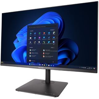 23.8" (60,45cm) Terra ALL-IN-ONE-PC 2401HA GREENLINE, Core 3
