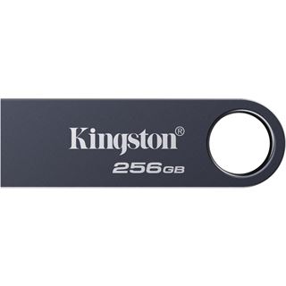 256GB Kingston USB-Stick DataTraveler SE9 G3 - USB 3.2 Gen 1 - Schwarz