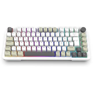 INCA Gaming Tastatur RGB/GraySwitch/USB-C/BT 2.00m wei?