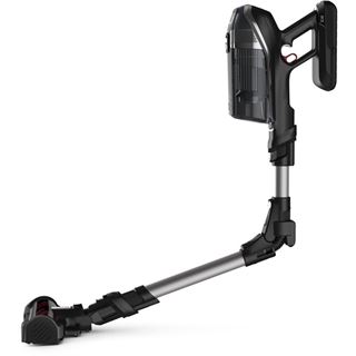 Rowenta X-Force Flex 14.60 Animal RH9958 (schwarz/silber)