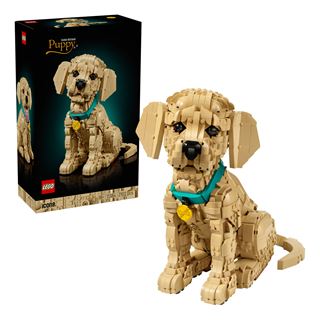 LEGO Icons 11384 Golden Retriever Welpe