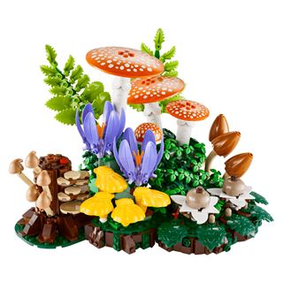 LEGO Botanicals 11505 Waldpilze