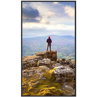 43" (109,22cm) Sharp MultiSync E439 schwarz 3840x2160 1xHDMI