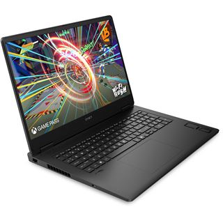 Notebook 17.3" (43,94cm) HP Omen 17-db1180ng AMD (schwarz, Ryzen