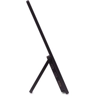 15,6" (39,62cm) Acer PM161Wbmiuux schwarz 1920x1200 1xMini-HDMI