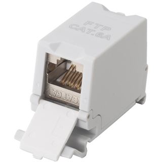 Equip Keystone-Koppler geschirmt Cat6A 1xRJ45 DIN gr