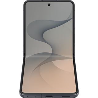 Samsung Galaxy Z Flip8 256 GB graphite SM-F776BZKGEUB