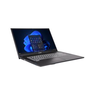 Notebook 17.3" (43,95cm) Terra MOBILE 1716R W11pro