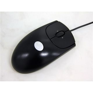Logitech OEM RX250 Maus Schwarz Optical USB/PS2