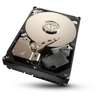 1TB Seagate Barracuda 7200.11 ST310005N1D1AS-RK 32MB 3.5"