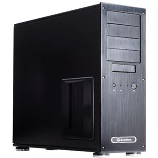 Silverstone Temjin TJ09 Window Big Tower ohne Netzteil schwarz