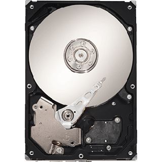 1TB Seagate Barracuda 7200.11 ST31000333AS 32MB 3.5" (8.9cm)