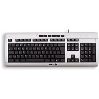 CHERRY G85-23110DE eVolution Stream XT PS/2 & USB Deutsch silber