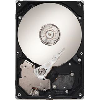 1TB Seagate Barracuda LP 5900.12 ST31000520AS 32MB 3.5" (8.9cm)