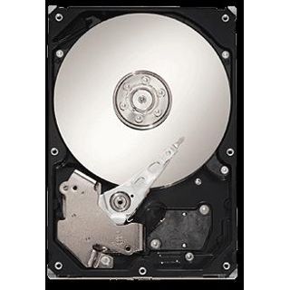 250GB Seagate DB35 Serie ST3250310CS 8MB 3.5" (8.9cm) SATA 3Gb/s