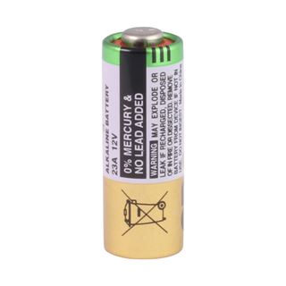 GP Batteries High Voltage MN21 Alkaline Batterie 12.0 V 1er Pack