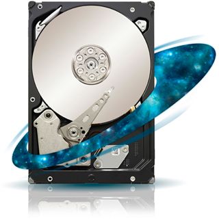 1TB Seagate Enterprise Capacity 3.5 HDD ST31000424SS 32MB 3.5"