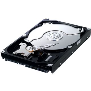 320GB Samsung Spinpoint F4 HD322GJ 16MB 3.5" (8.9cm) SATA 3Gb/s