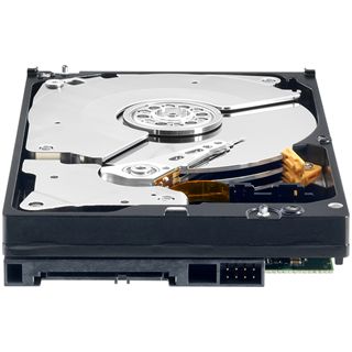 1TB WD RE4-Serie WD1003FBYX 64MB 3.5" (8.9cm) SATA 3Gb/s