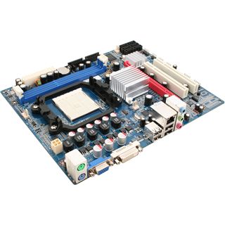 Sapphire PI-AM3RS760G2 AMD 760G So.AM3 Dual Channel DDR3 mATX Retail