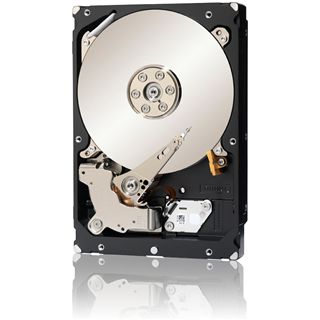 3TB Seagate Enterprise Capacity 3.5 HDD ST33000650NS 64MB 3.5"