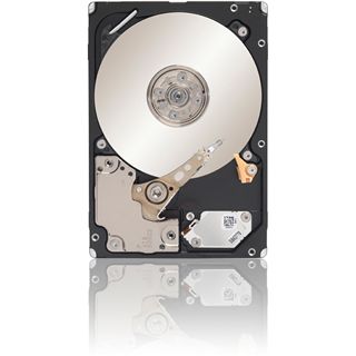 600GB Seagate Savvio 10K.5 ST9600205SS 64MB 2.5" (6.4cm) SAS