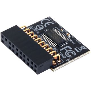 Gigabyte TPM-Module GCTPMR-00-Gl bulk