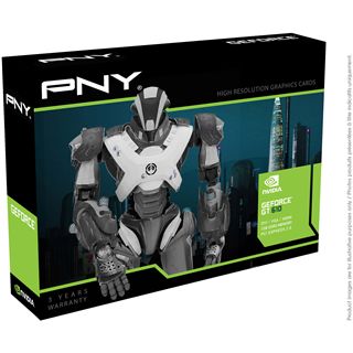 1GB PNY GeForce GT 610 Aktiv PCIe 2.0 x16 (Retail)