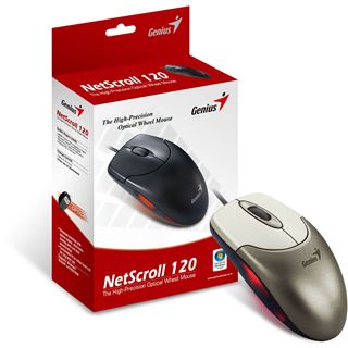 Genius NetScroll 120 USB grau (kabelgebunden)