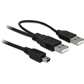 Delock Adapter SATA Slimline Buchse auf USB miniB Buchse