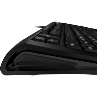 Steelseries Apex [RAW] USB Deutsch schwarz (kabelgebunden)