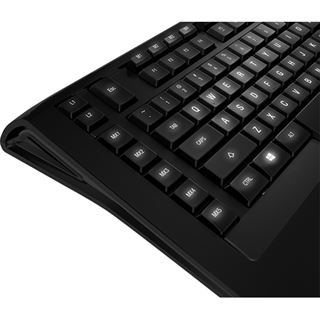 Steelseries Apex [RAW] USB Deutsch schwarz (kabelgebunden)