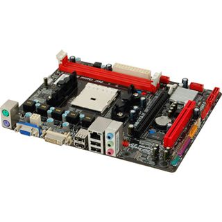 Biostar A55MD2 AMD A55 So.FM2 Dual Channel DDR3 mATX Retail