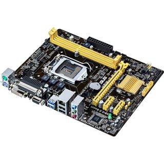 Asus H81M-D Plus Intel H81 So.1150 Dual Channel DDR3 mATX Retail