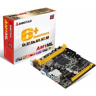 Biostar AM1ML SoC So.AM1 Single Channel DDR3 mATX Retail