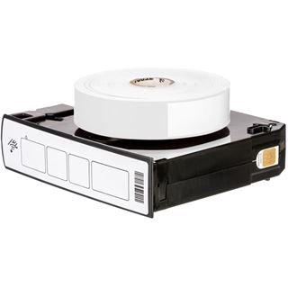 Zebra Z-BAND DIRECT ADULT 25X279MM (10006995K)